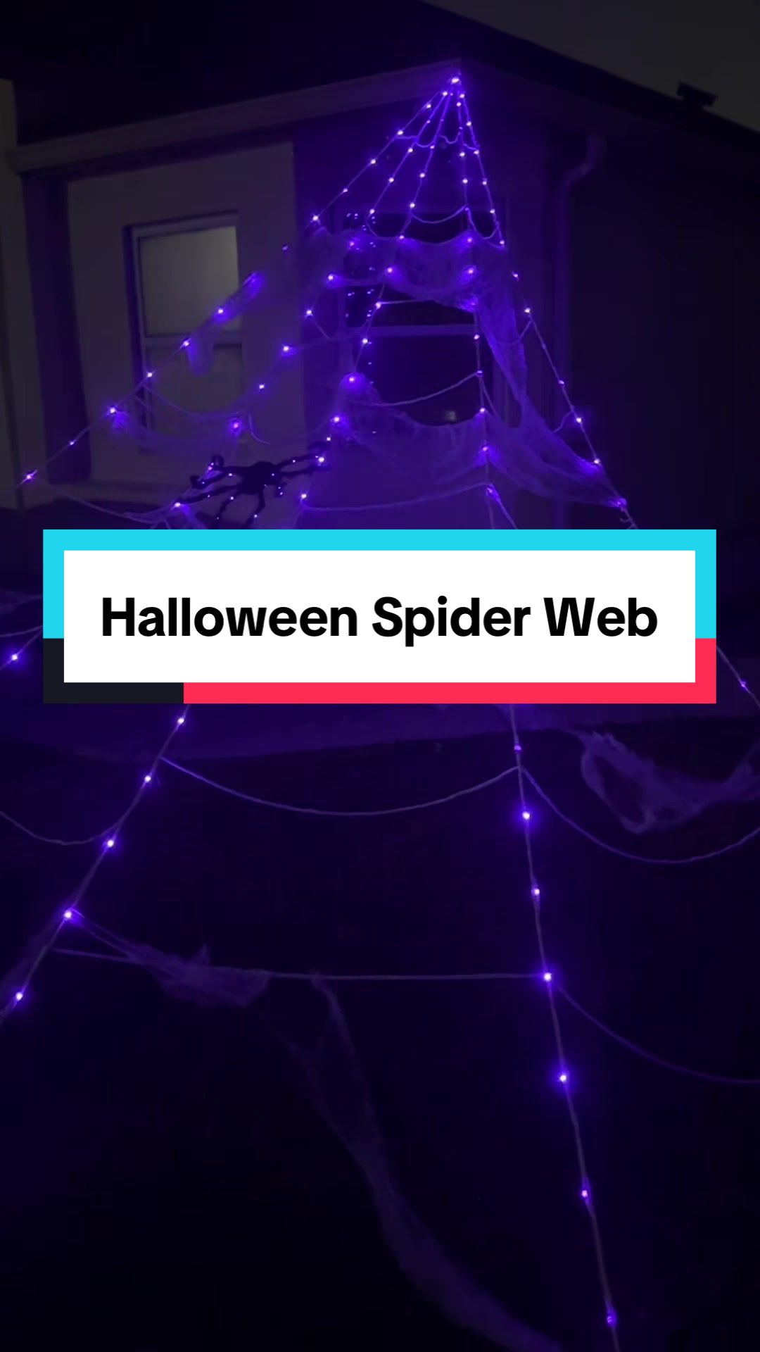@Designer | TikTok Finds & Deal
