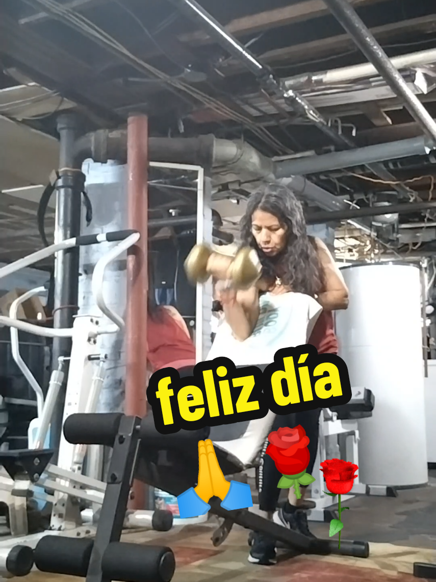 @alifit1