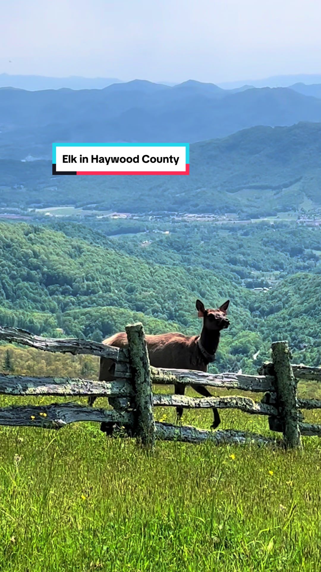 @Visit Haywood