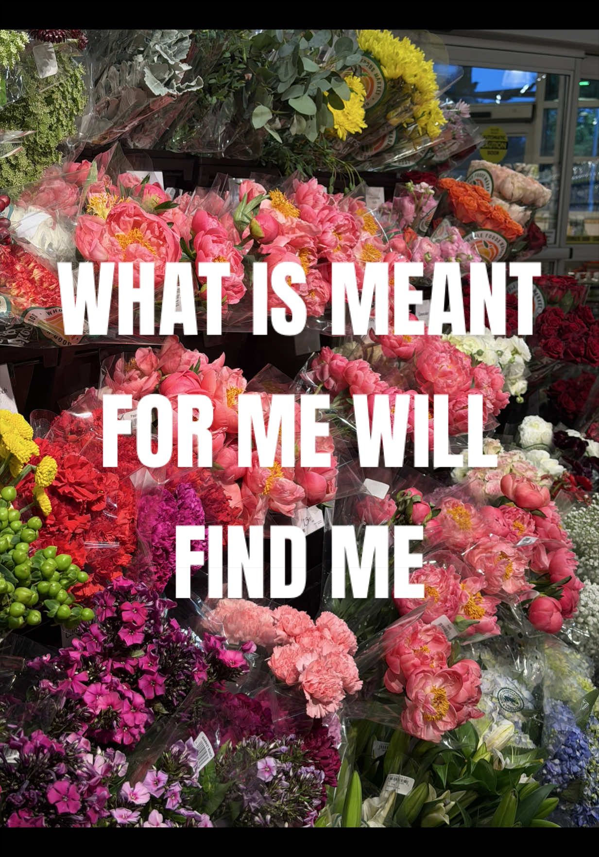 @LAUREN RAY