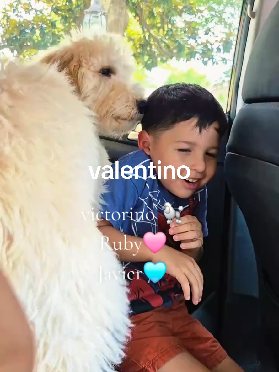 @Yolanda Diaz🦋