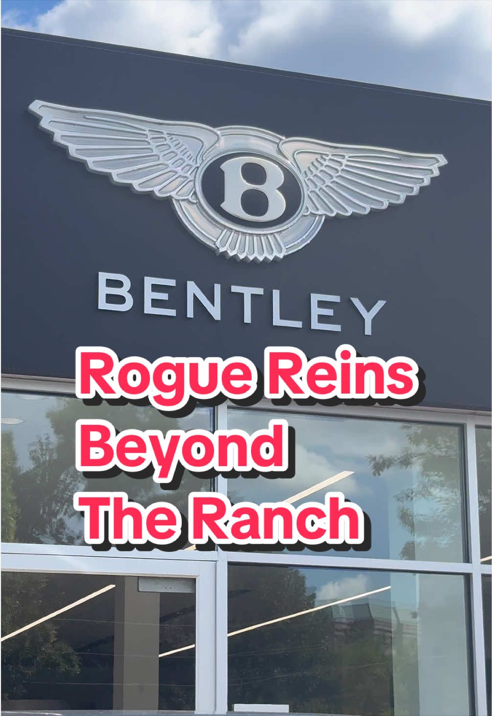 @Rogue Reins