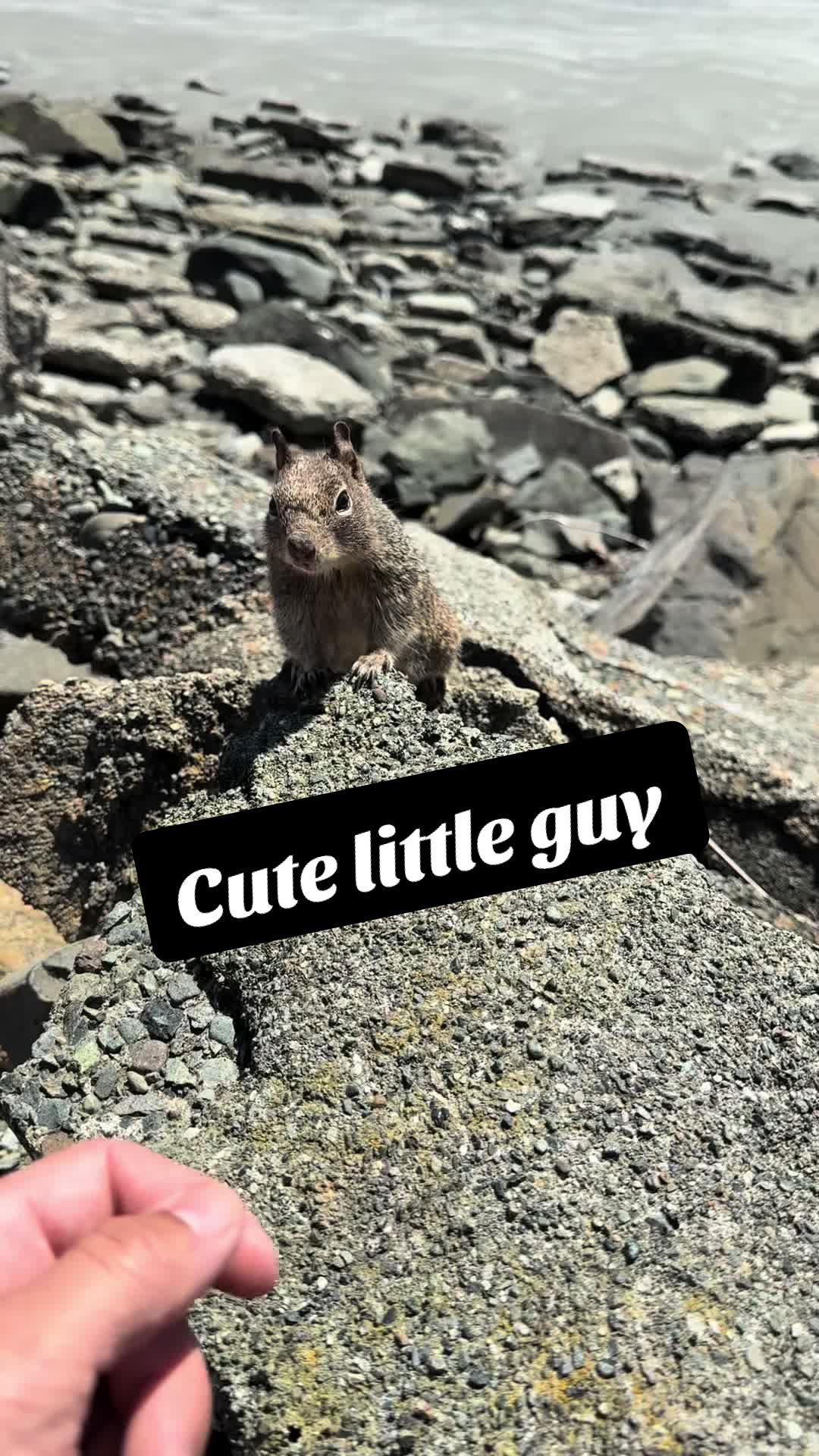 @ADVENTURE_LIFE