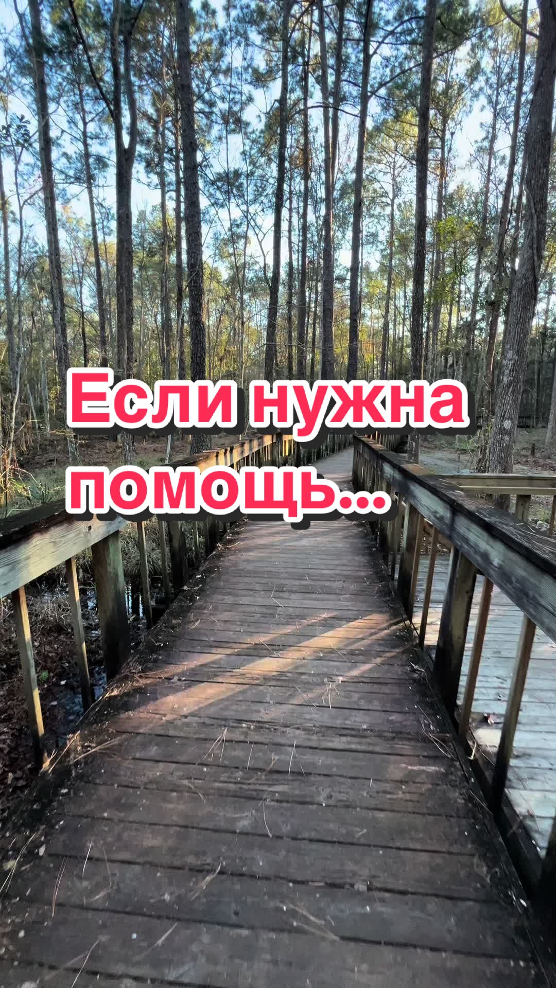 @Таролог Ксения🔮