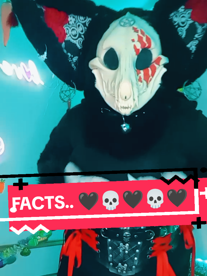 @wolfy.the.wolf