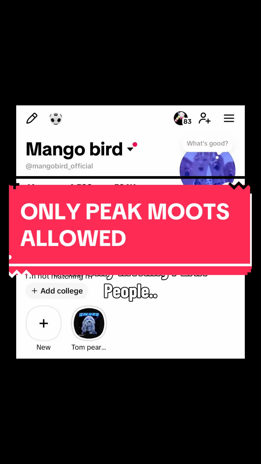 @Mango bird