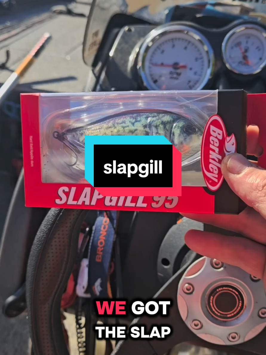 @SP_The_Ned_Master