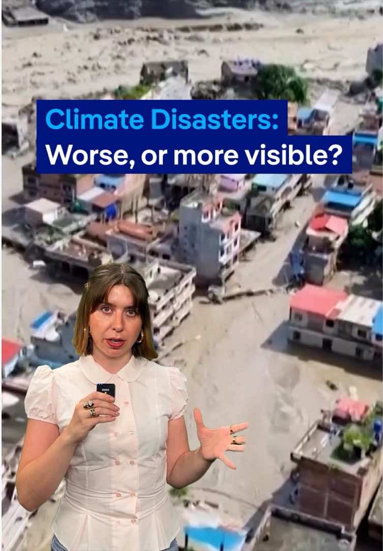 @Berlin Fresh