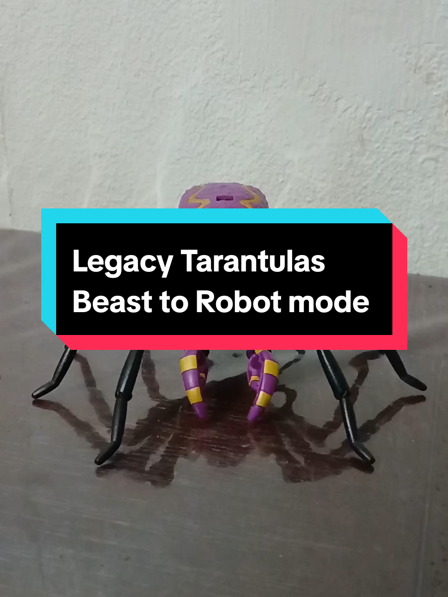 @Transformers collector