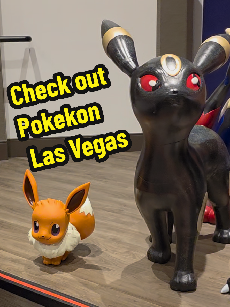 @lasvegasfunkoholics