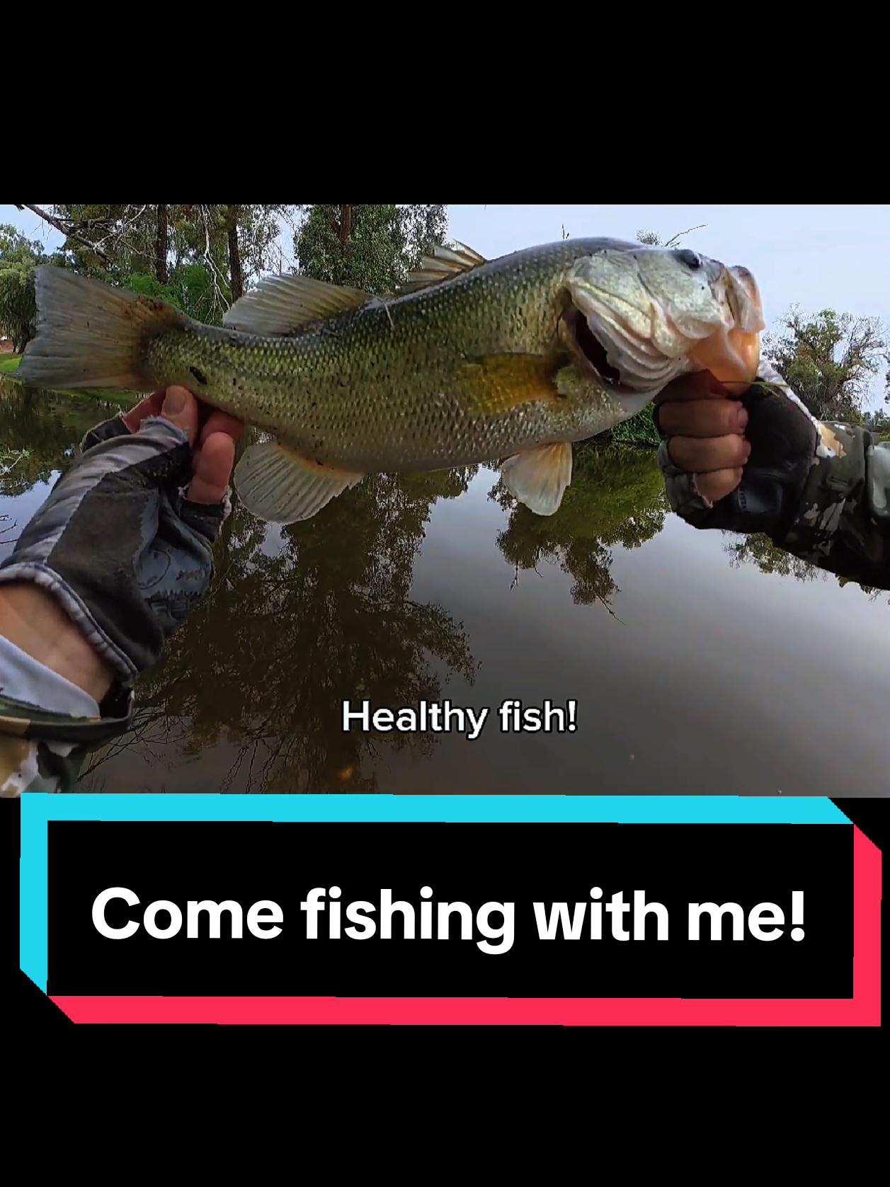 @SalmonInTheDesert