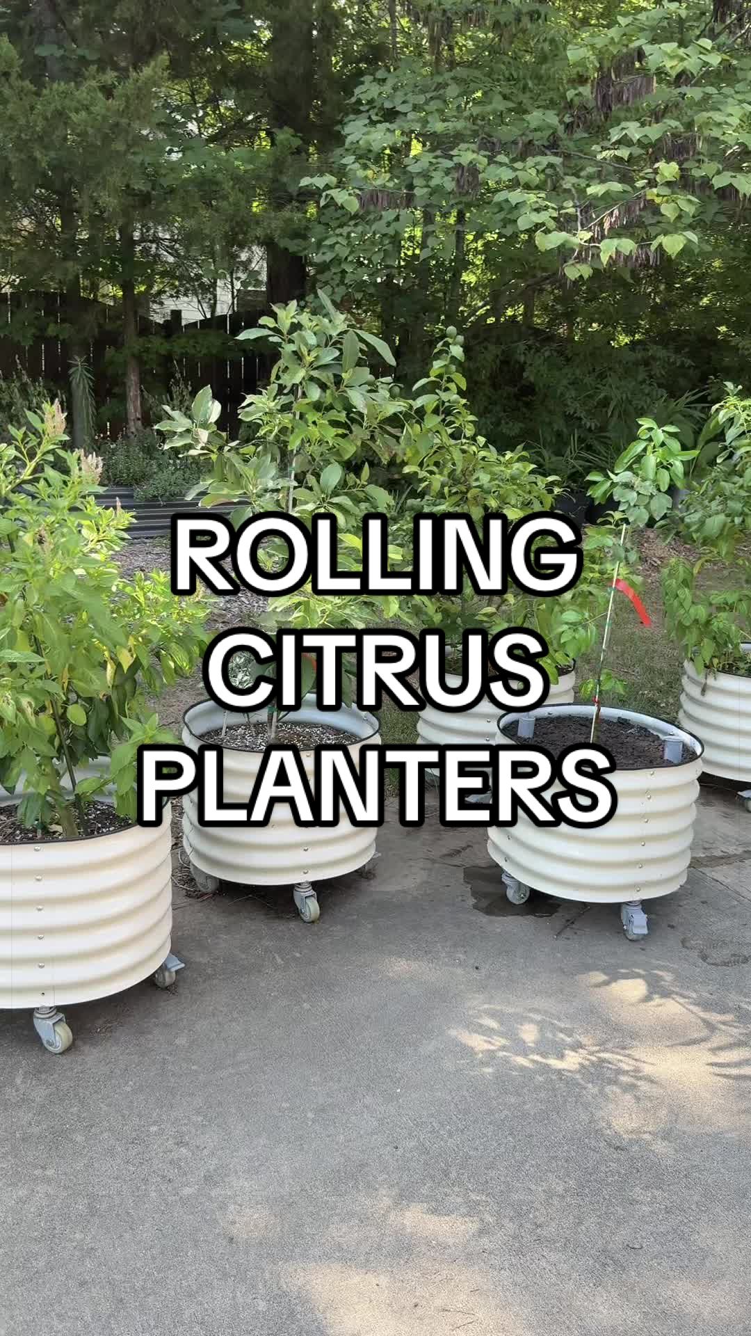 @The Ever Hopeful Gardener