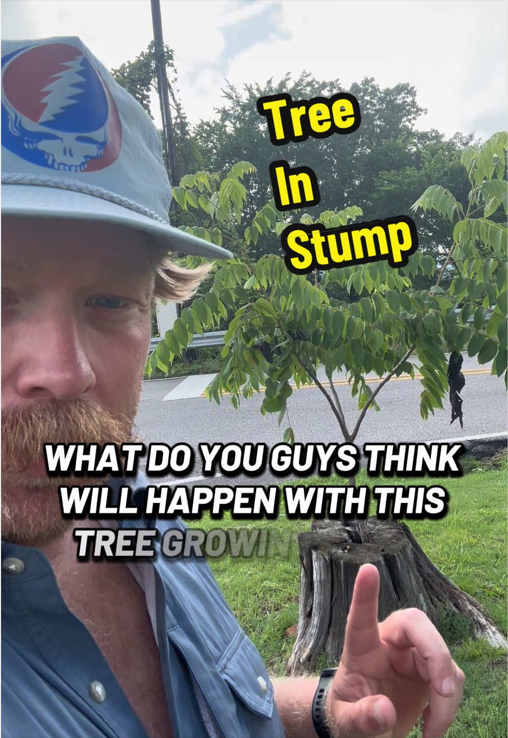 @Chip The Creator