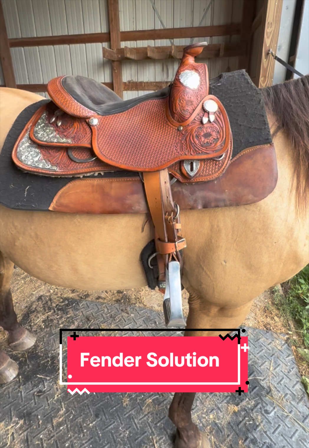 @yourhorseandponyleader