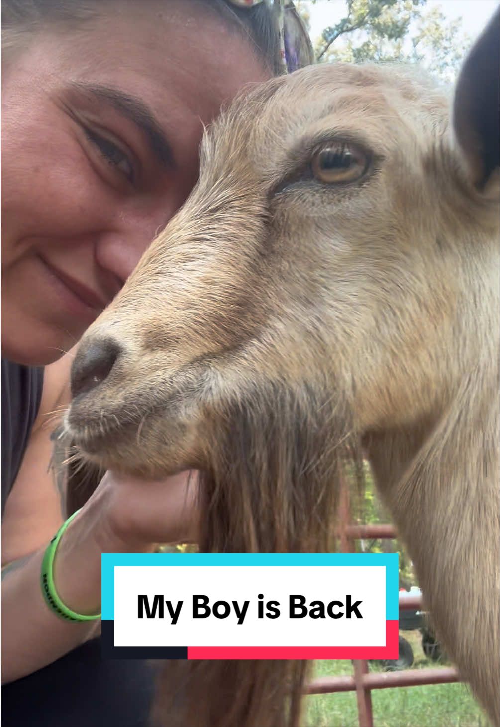 @Sierra_TSWFarms - 🐐🥛🐝