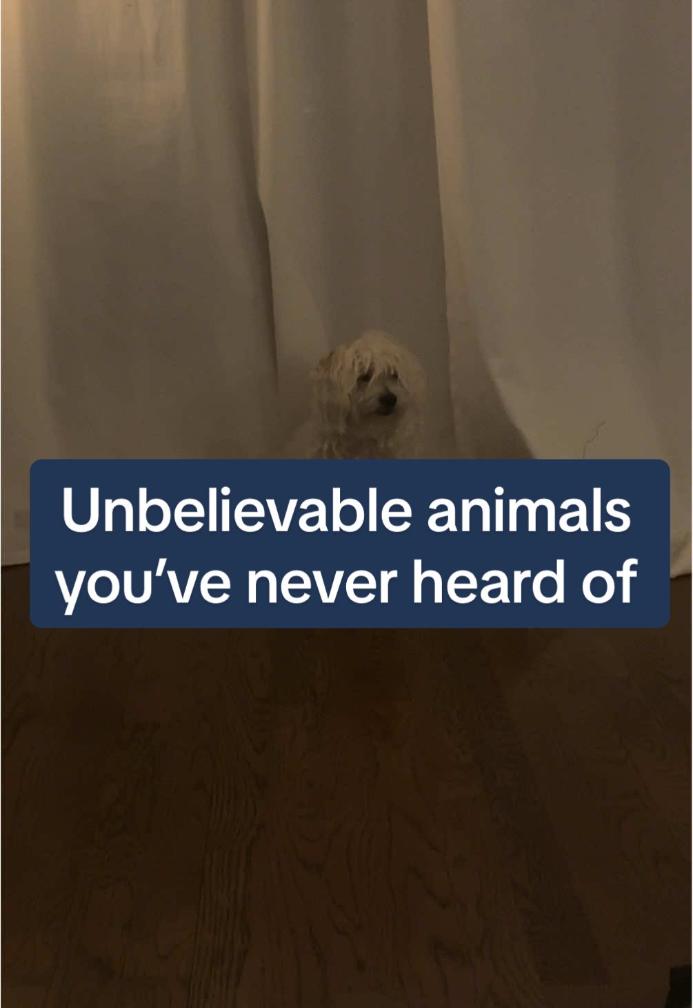 @Zoey Kay