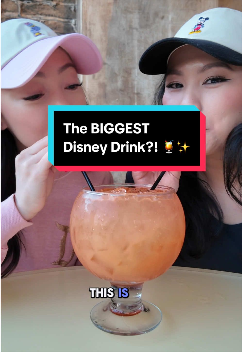@nikki | disney food & tips ✨