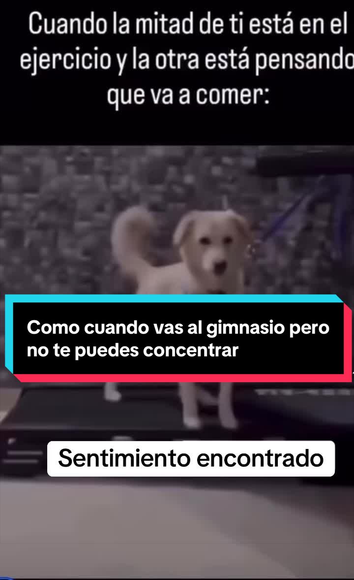 @De todo