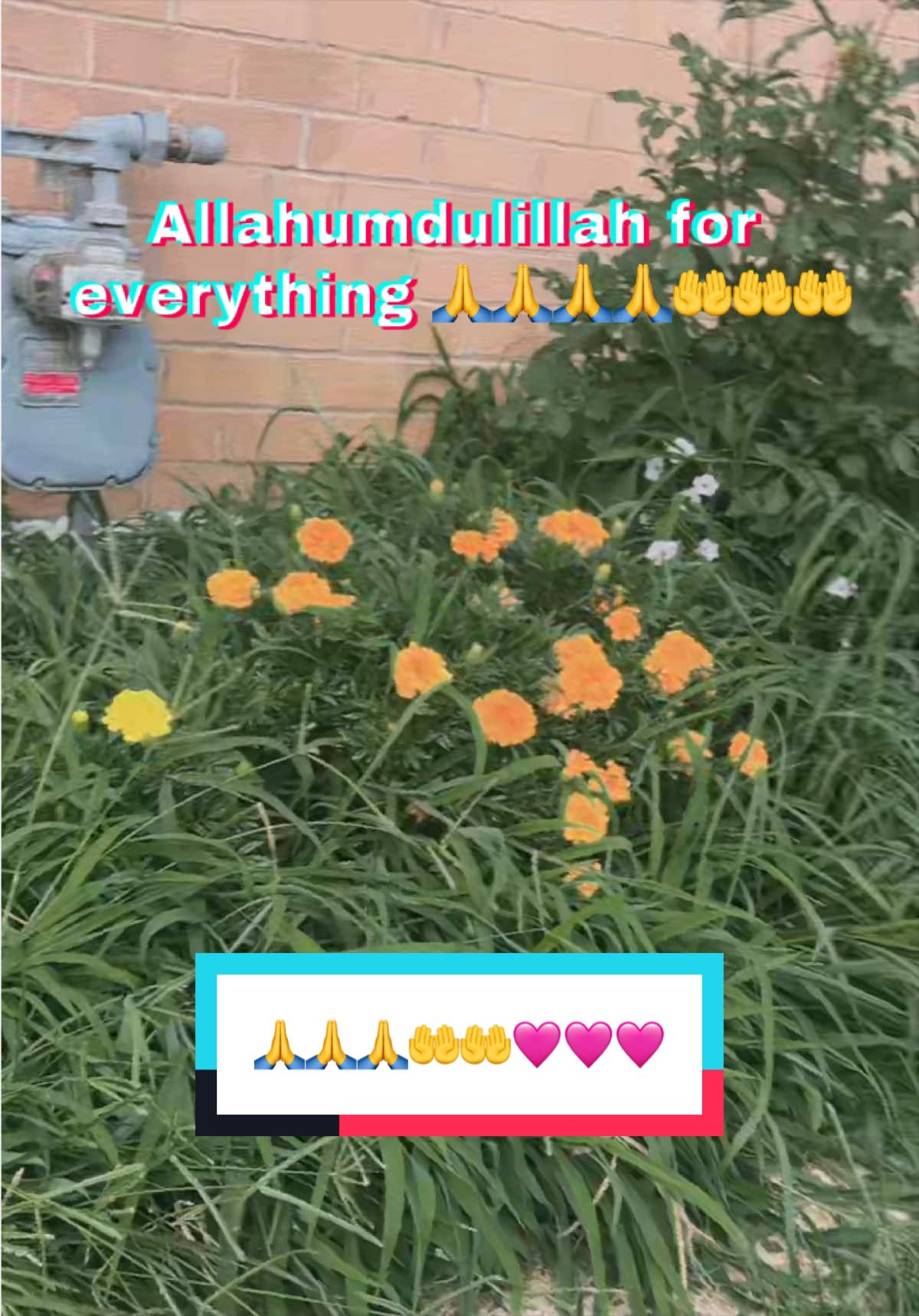 @komal in US๐ต๐ฐ๐บ๐ธ