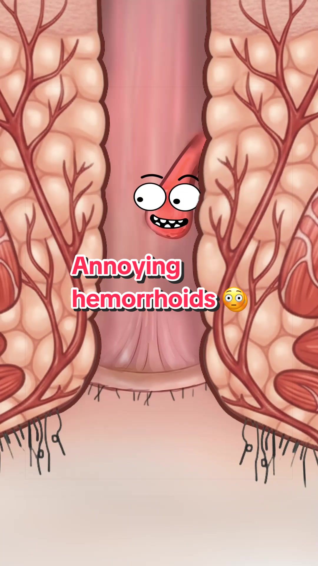 @Funny Animations