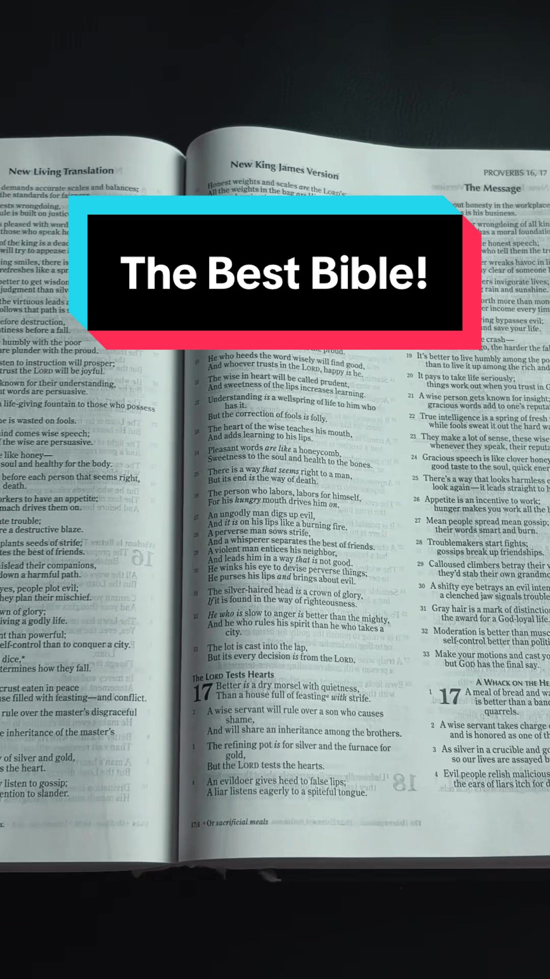 @the.bible.teacher