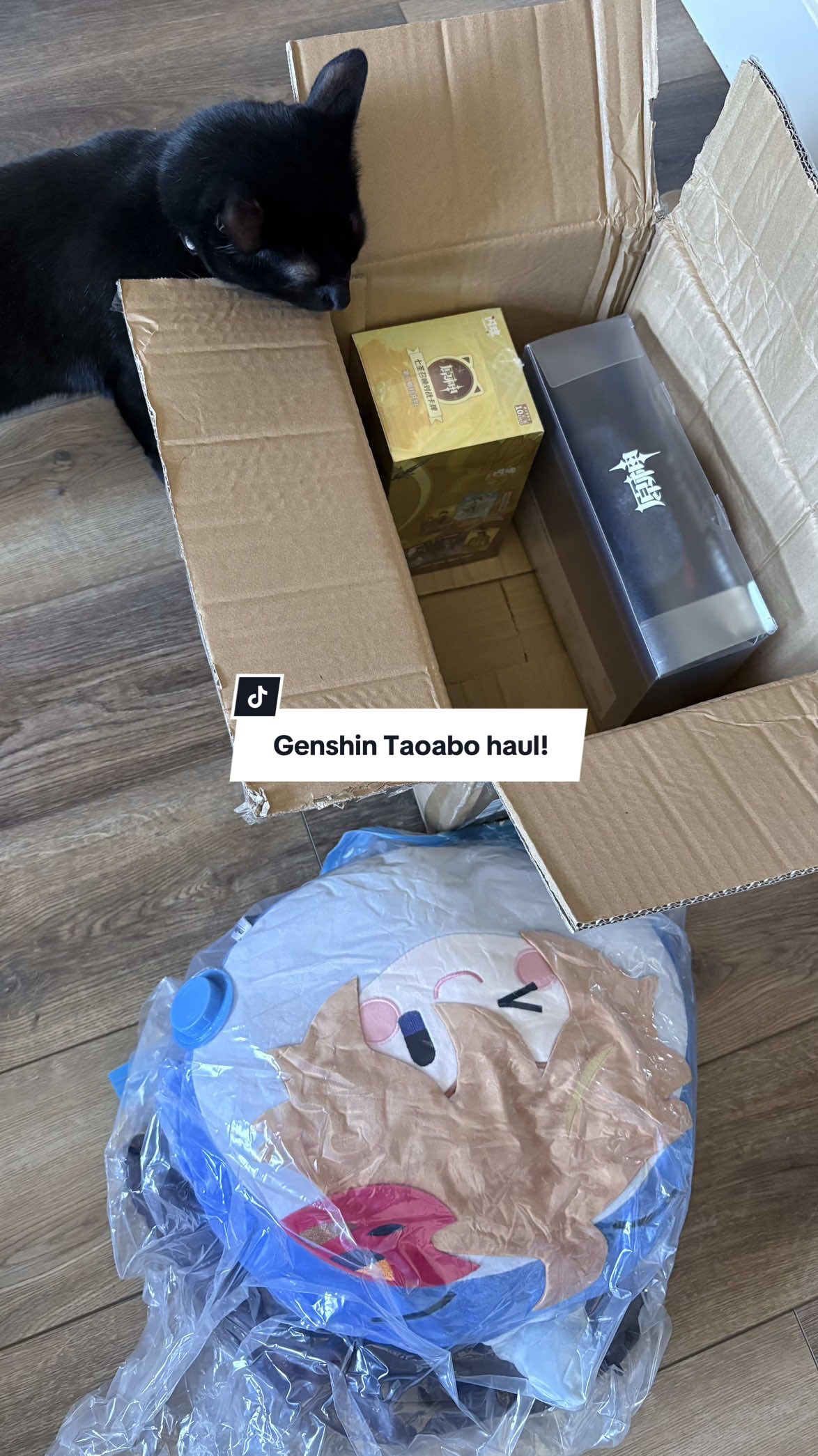 @Tartaglianui