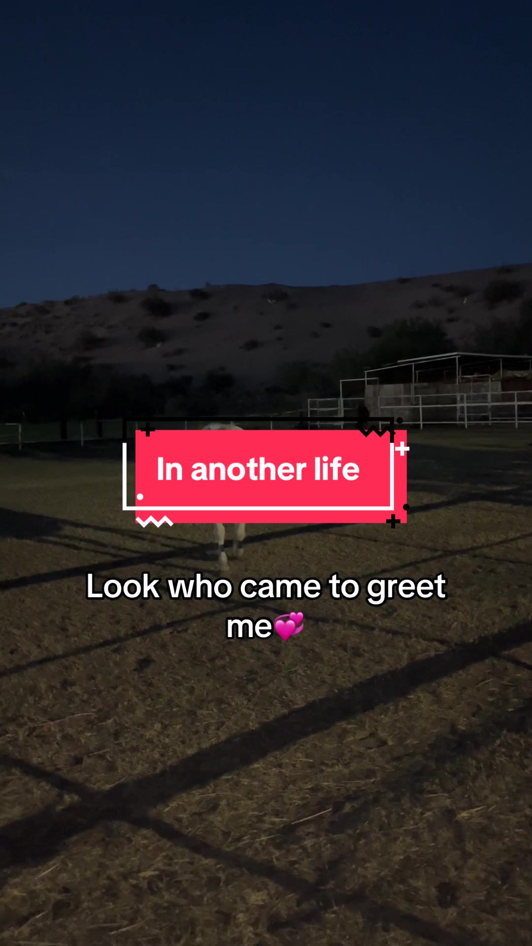 @Jenn🖤