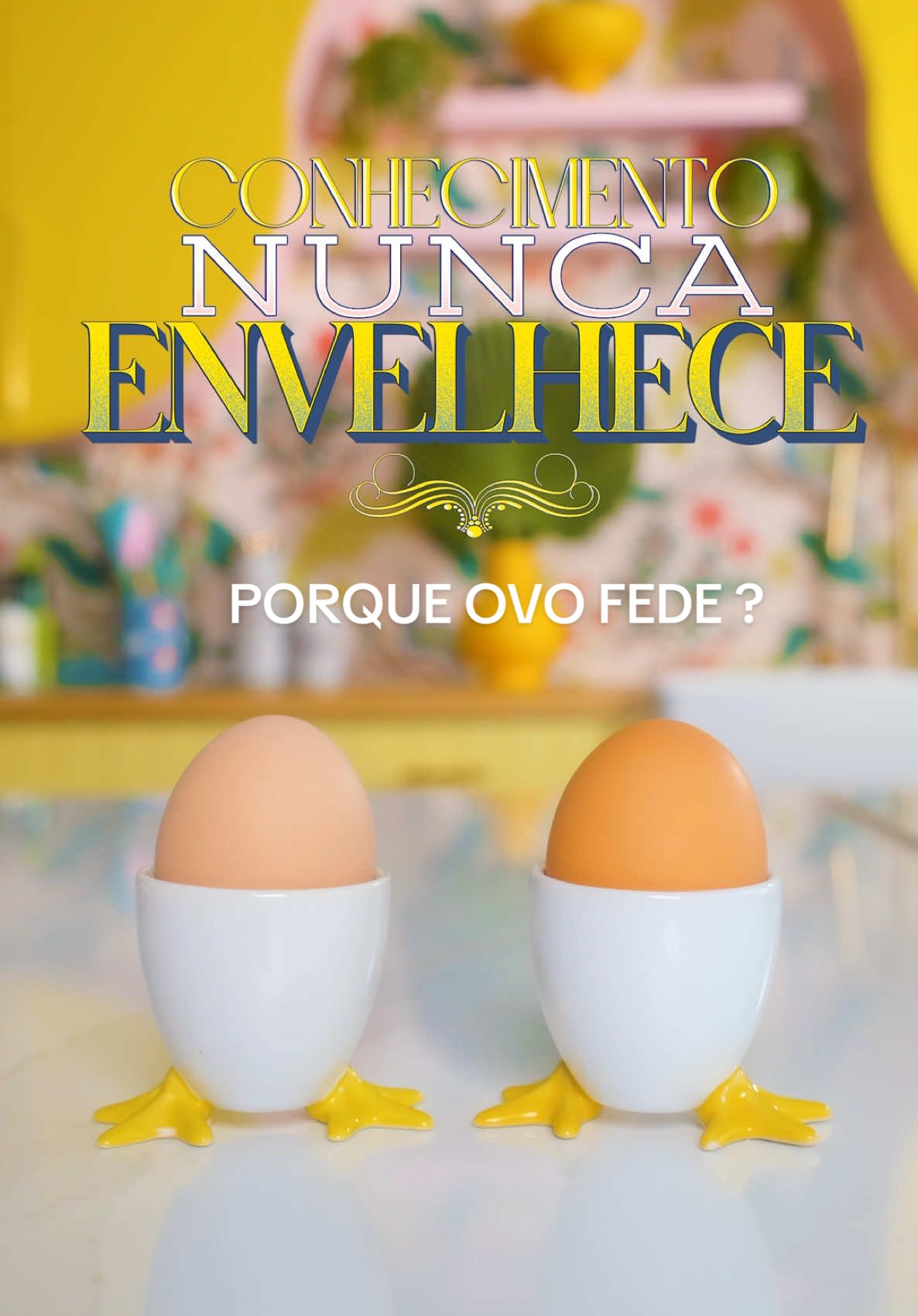 @Raiza Costa