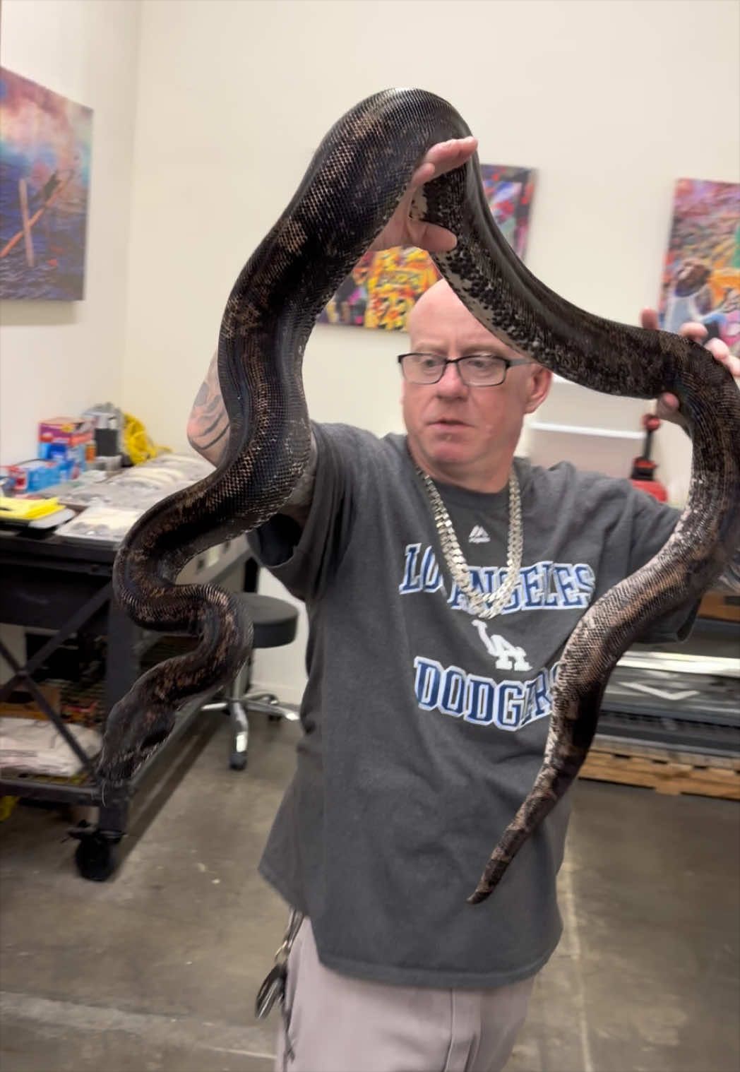 @Snake Country