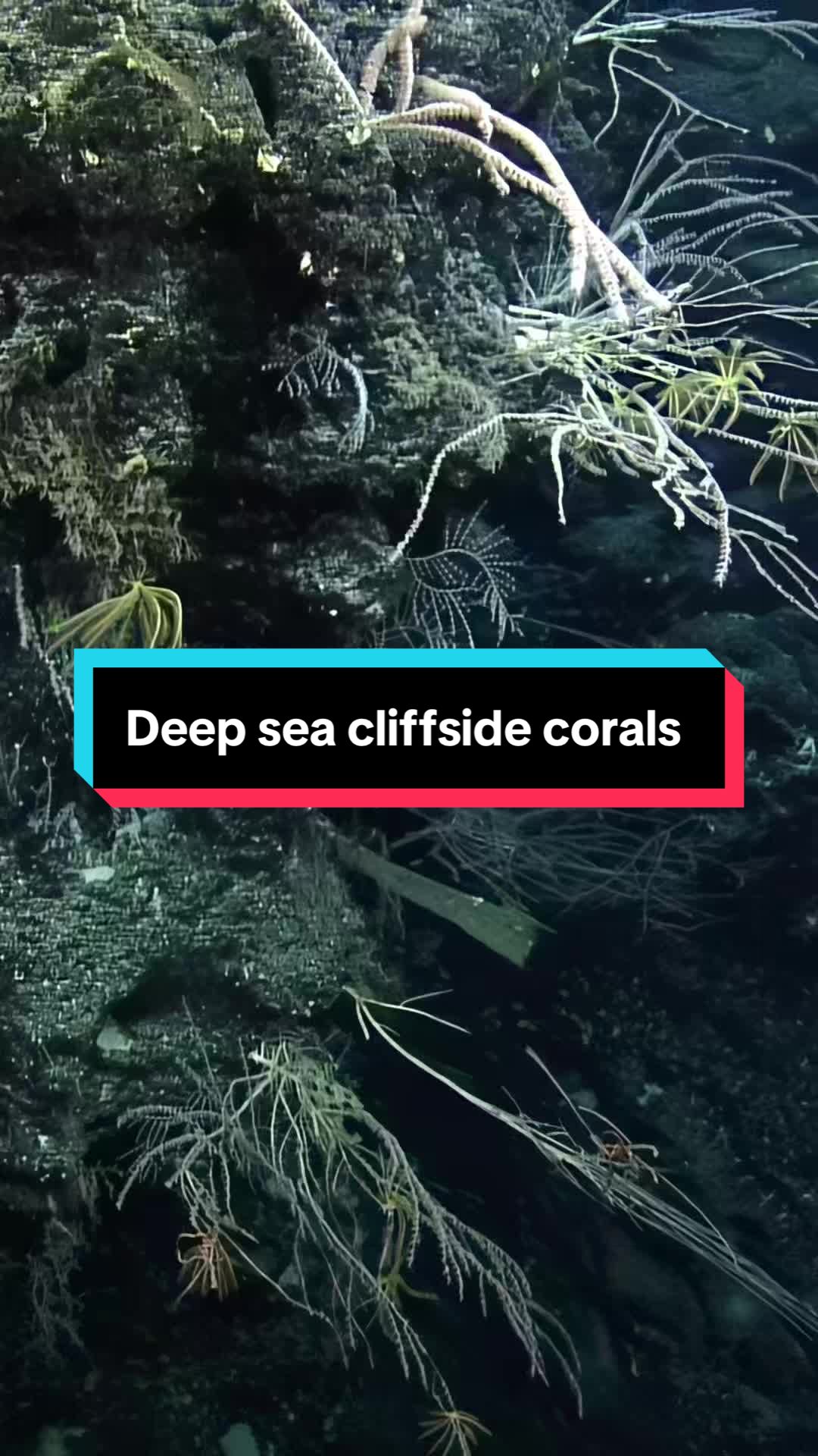 @Ocean Exploration Trust