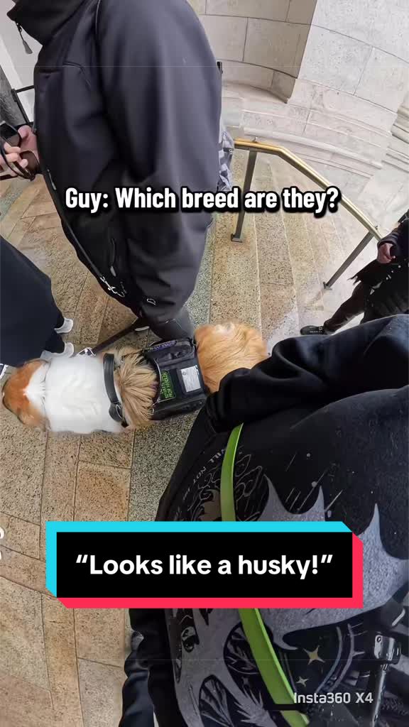 @Dakota & Pups