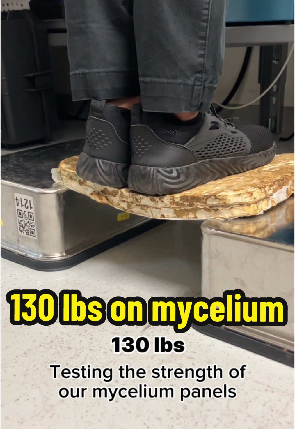 @MycoWorks