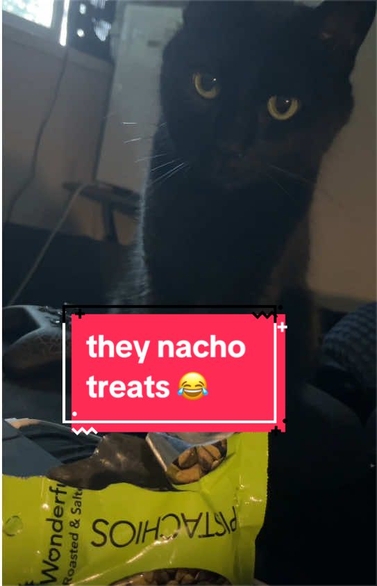 @Teaweaselstopmo