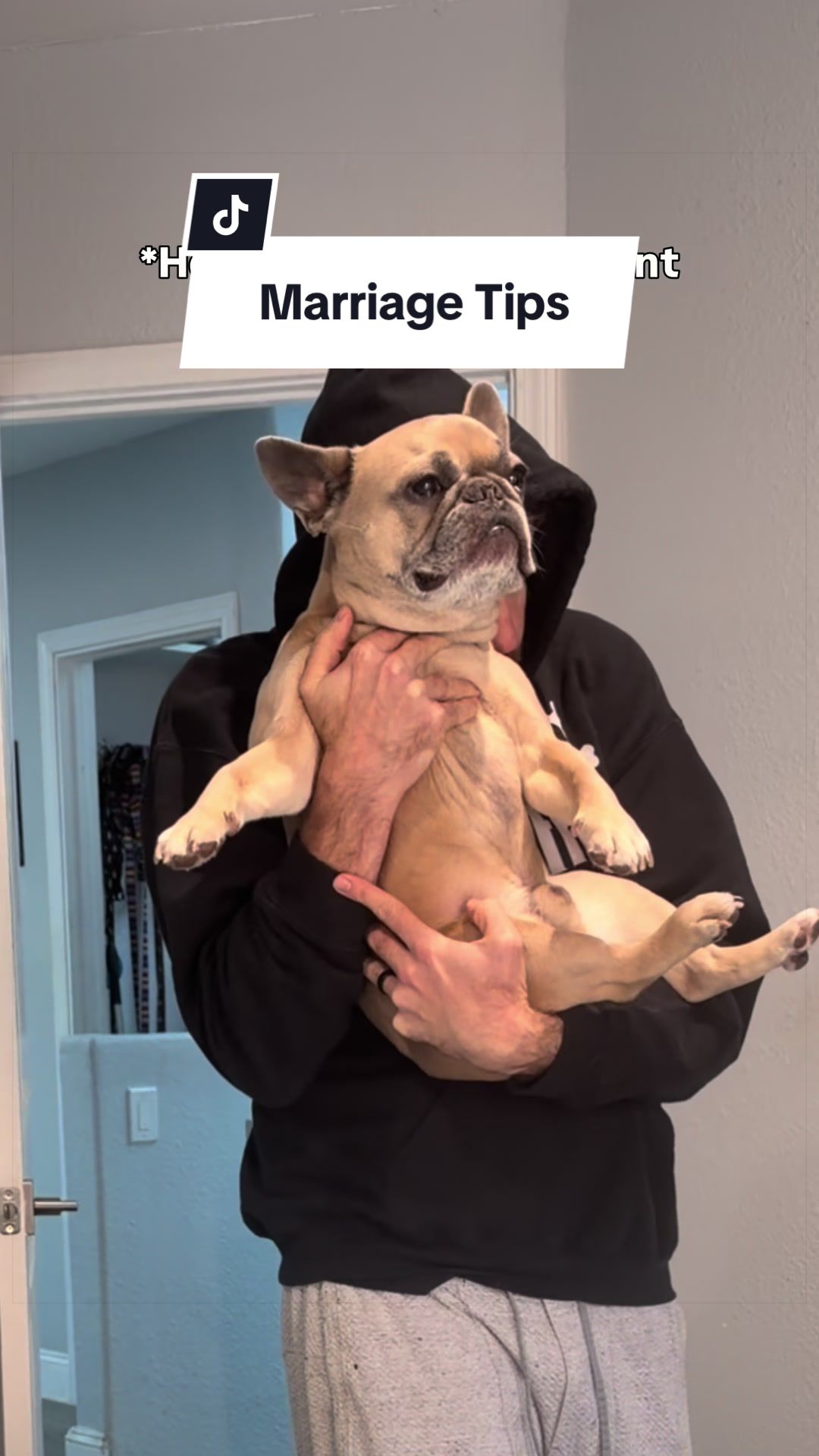 @Somefrenchienamedapollo