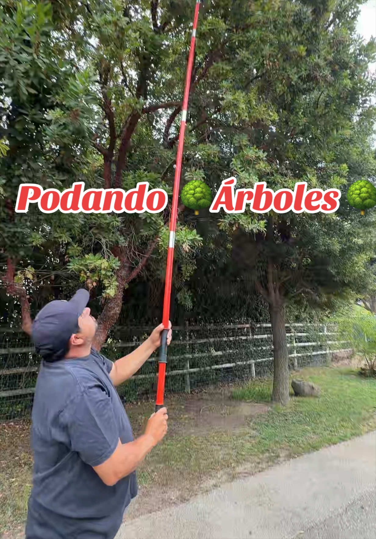 @lupithazzepeda