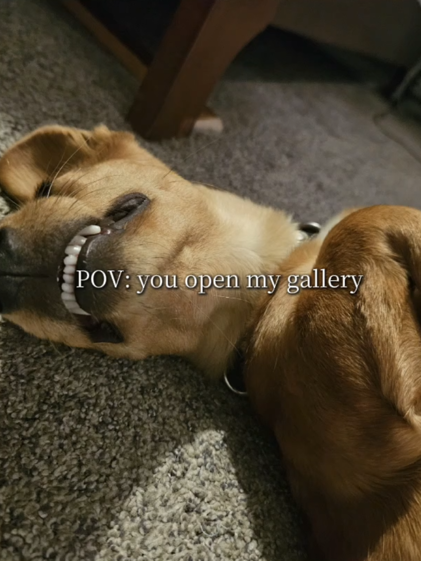 @Taryn