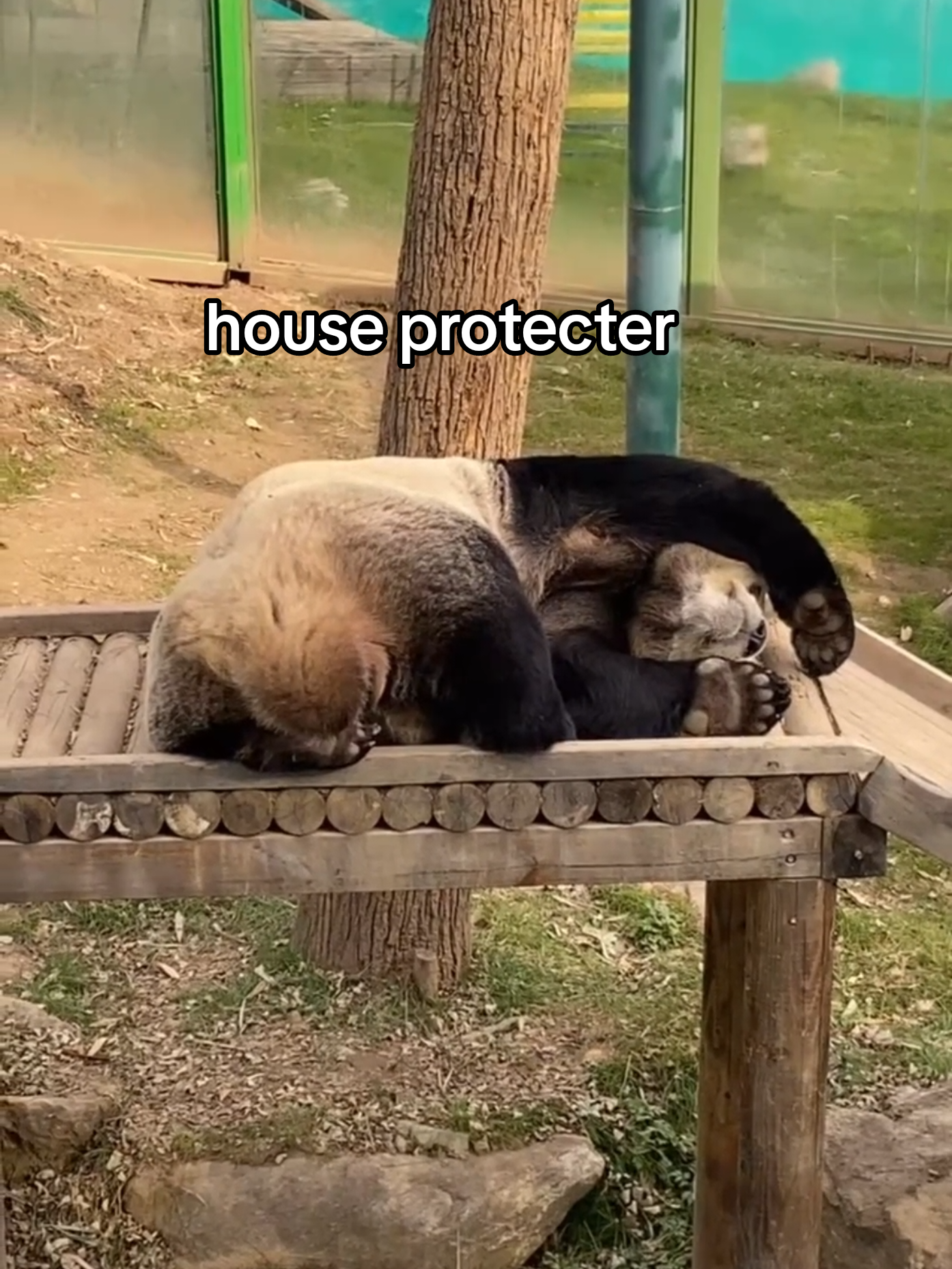 @PandaHut