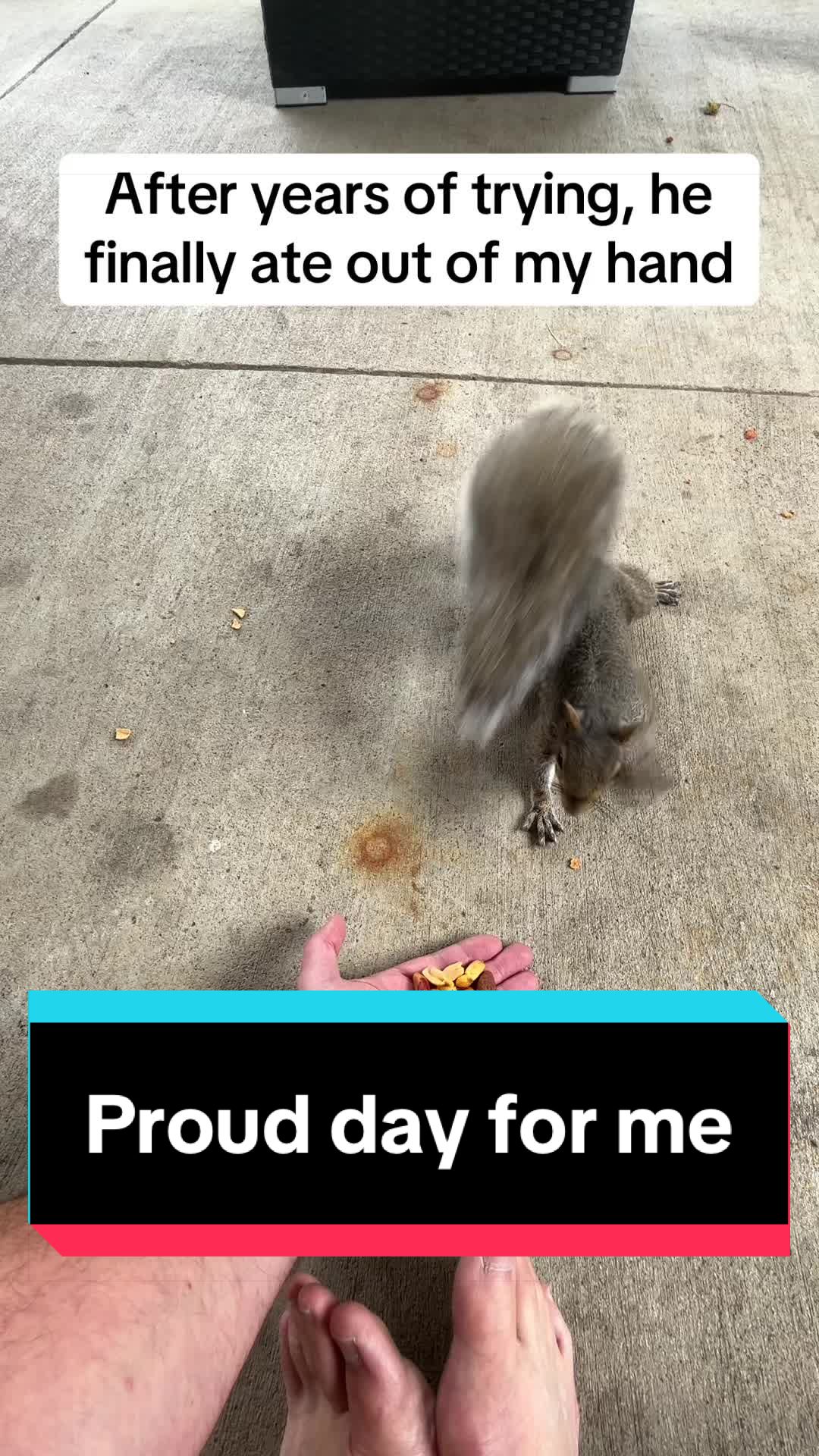@itsthedonutdad