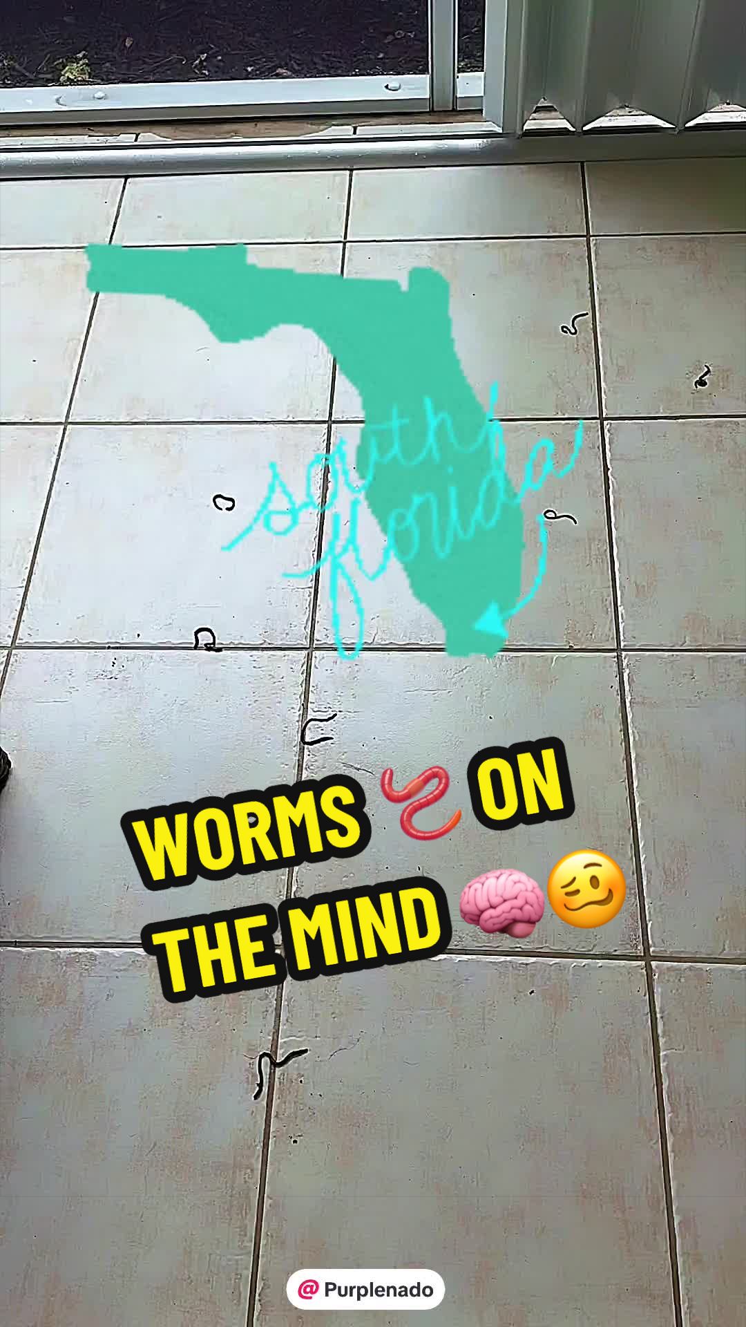 @Purplenado