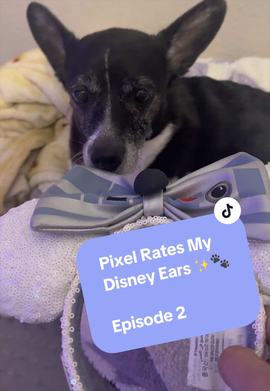 @heatheramescreates