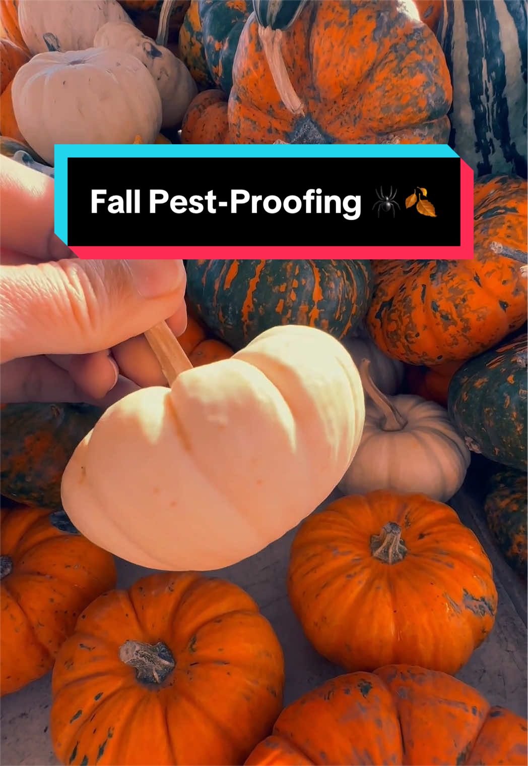 @PestWorld