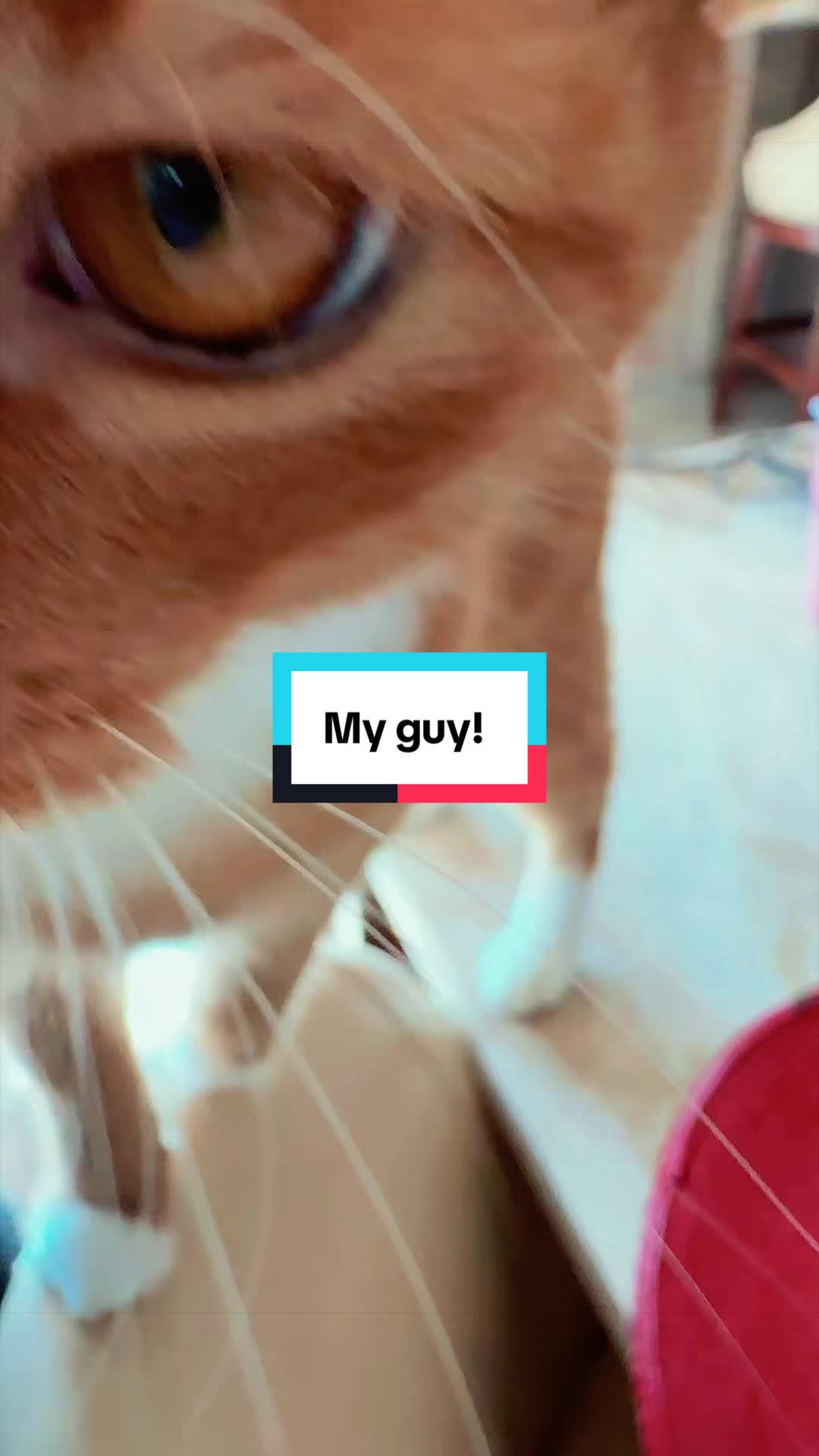 @Lala_luvkaye❌