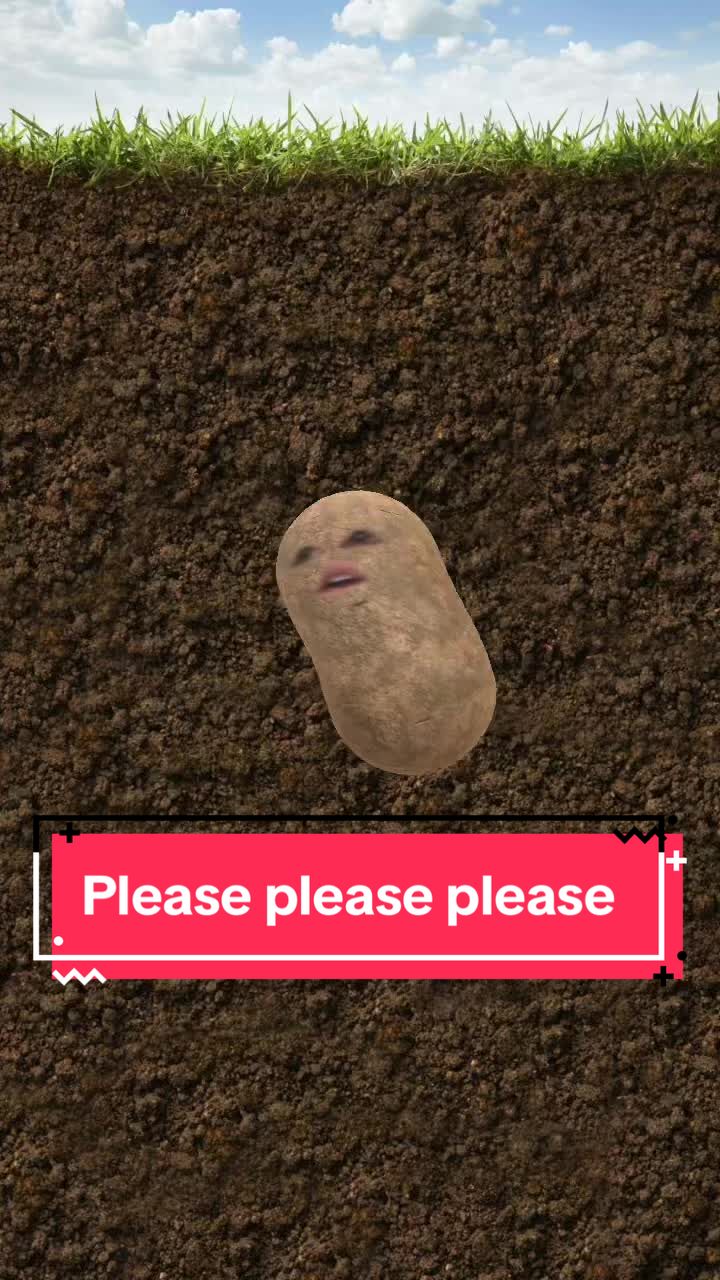 @that_singingpotato