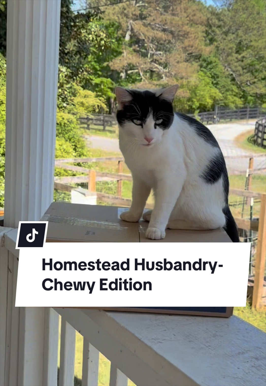@Bandrhomestead