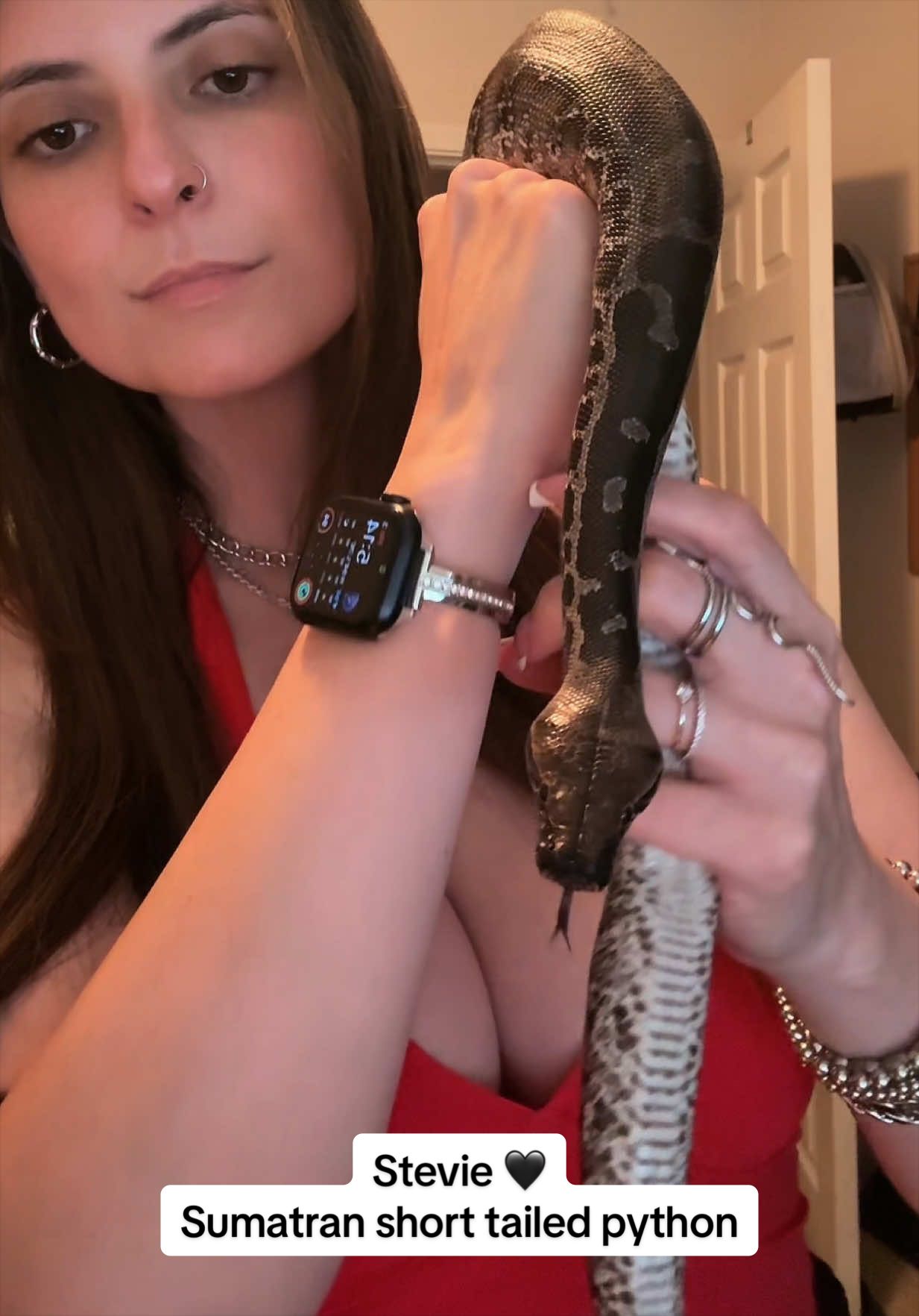 @courtneyscoldbloods