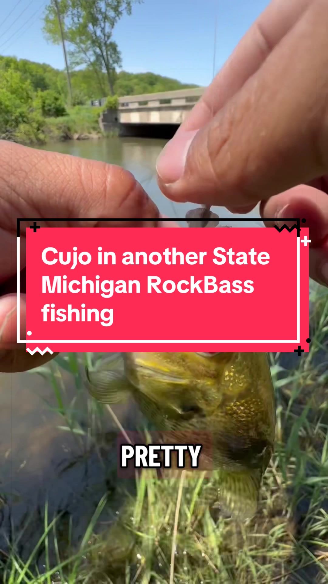 @Cujo Catches