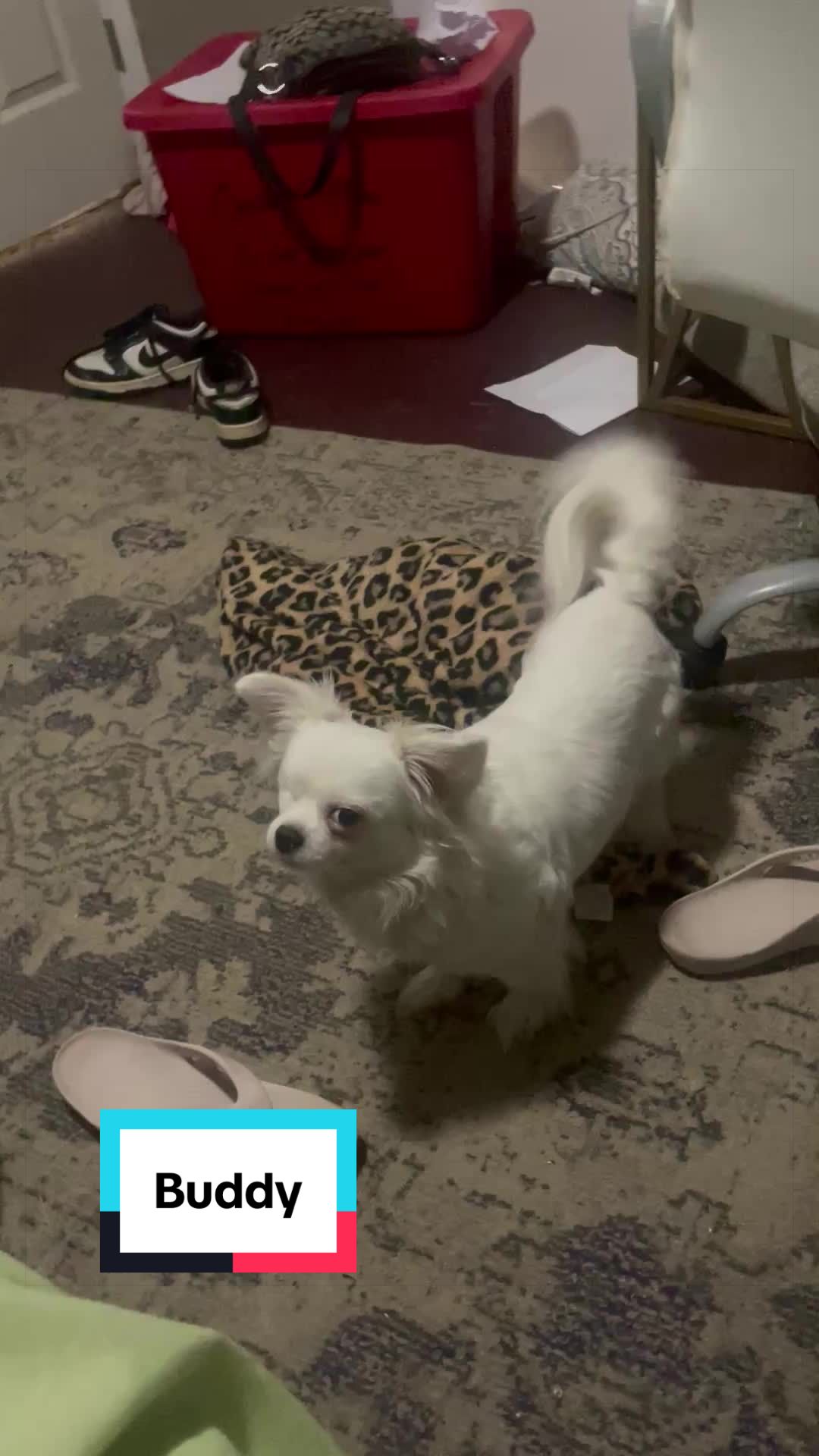 @MississippiMama