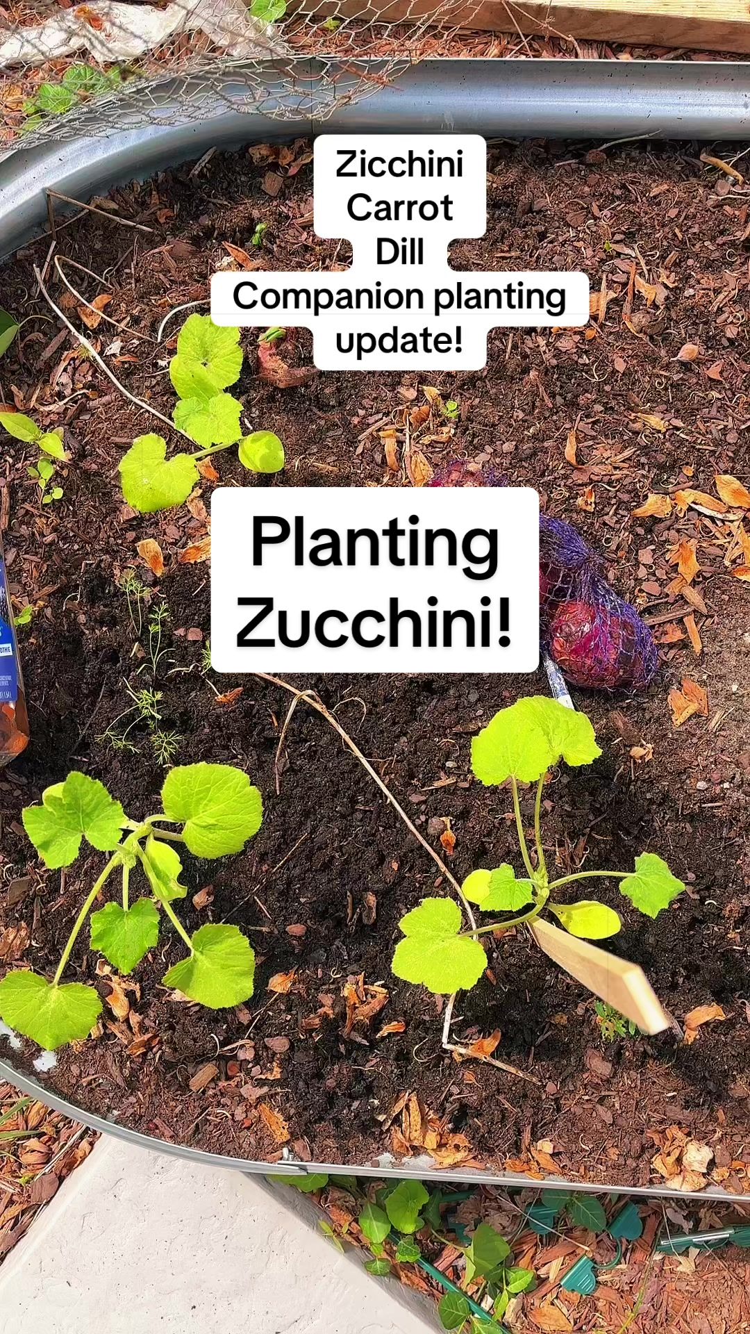 @greengirlgardens