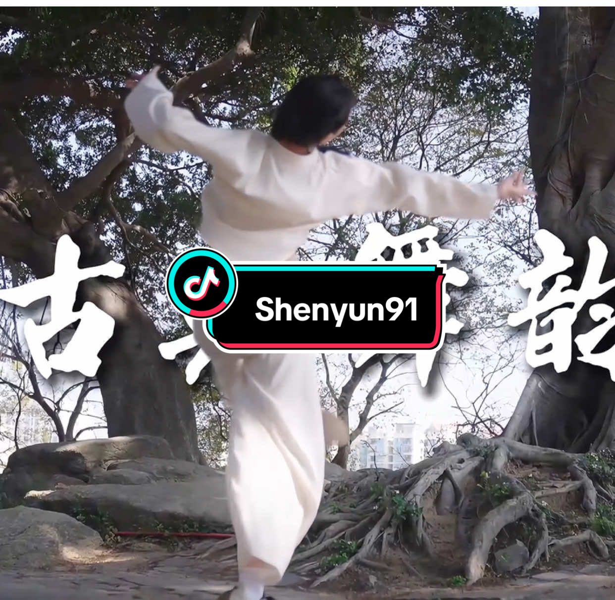 @kungfu shenyun