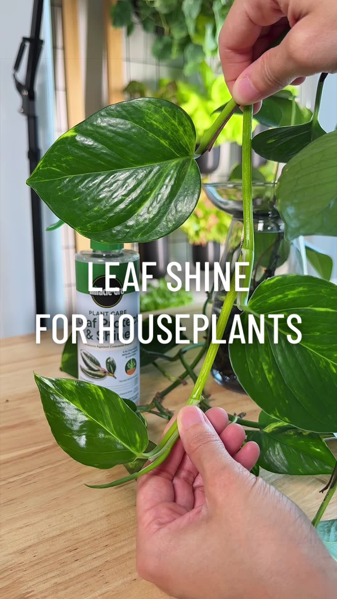 @gardeningindoors